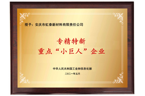 國(guó)家重點(diǎn)“小巨人”企業(yè)